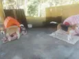 Alvim e tina