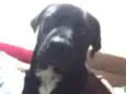 Bingo