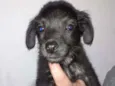 Edgar
