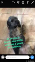 Nomes na foto