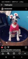 Lola