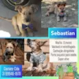 Sebastian 