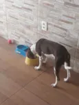Paçoca
