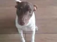 Paçoca