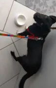 Spike