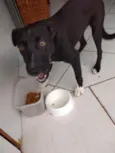 Spike