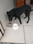 Spike