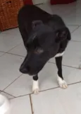 Spike