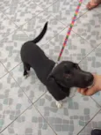 Spike