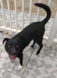 Spike