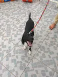 Spike