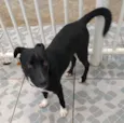 Spike