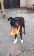 Spike