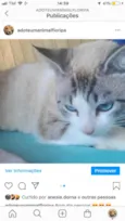Não sei