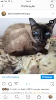 Não sei