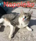Não sei
