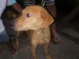 Romeu
