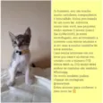 O dono poderá escolh