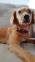 Mel