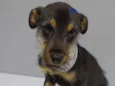 Zulu