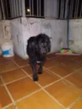 Esmeralda