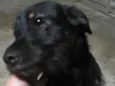 Spike