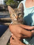 Nona