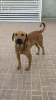 Nick
