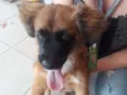 não sei