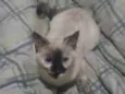 Mel
