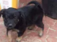 Bia