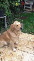 Meg