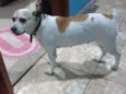 Nala 