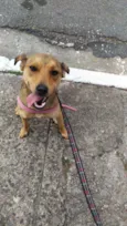 Kiara