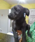 Edgar