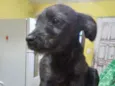 Edgar