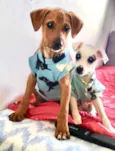 Luke e Luna 