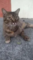 JULLY