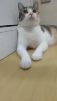 NALA