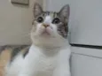 NALA