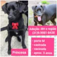 Princesa