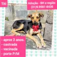 Titi