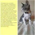 O dono escolherá o n