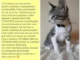 O dono escolherá o n