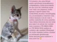 O dono escolherá o n