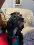 Valentin