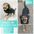 Bobby 