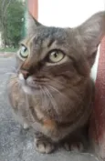 JULLY