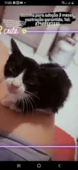 Lua