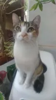 NALA